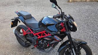 Benelli BN 125 (2021 - 25) usata