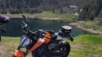 KTM 790 Duke (2018 - 20) usata