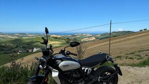 Ducati Scrambler 800 Icon (2023 - 25) 