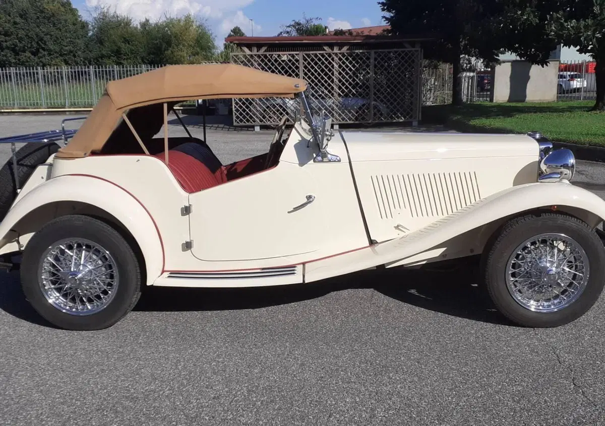 Mg TD midget  (4)