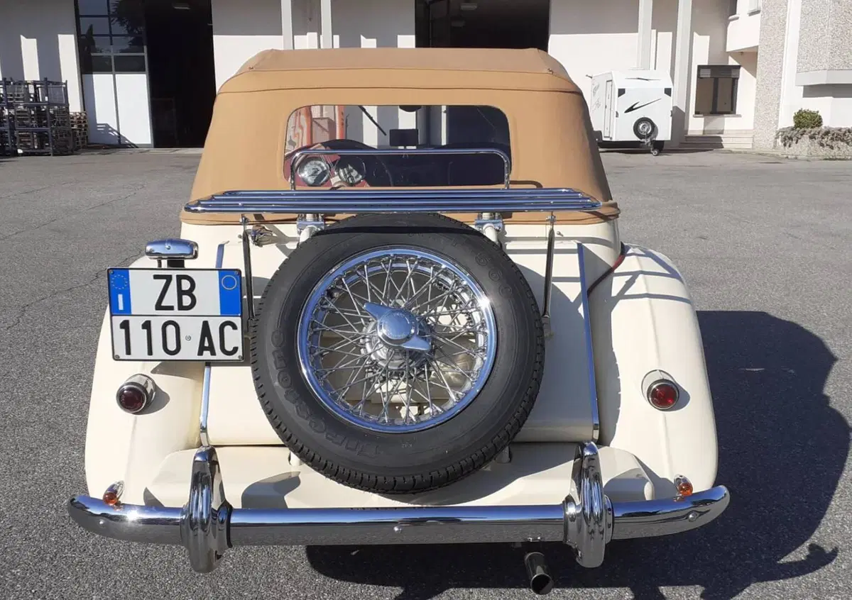 Mg TD midget  (6)