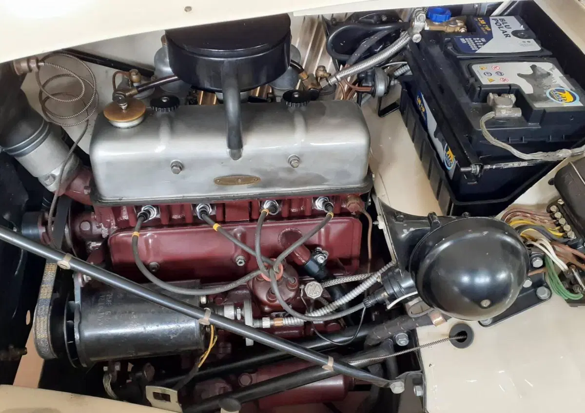 Mg TD midget  (15)