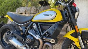 Ducati Scrambler 800 Icon (2021 - 22) 