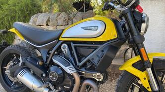 Ducati Scrambler 800 Icon (2021 - 22) usata