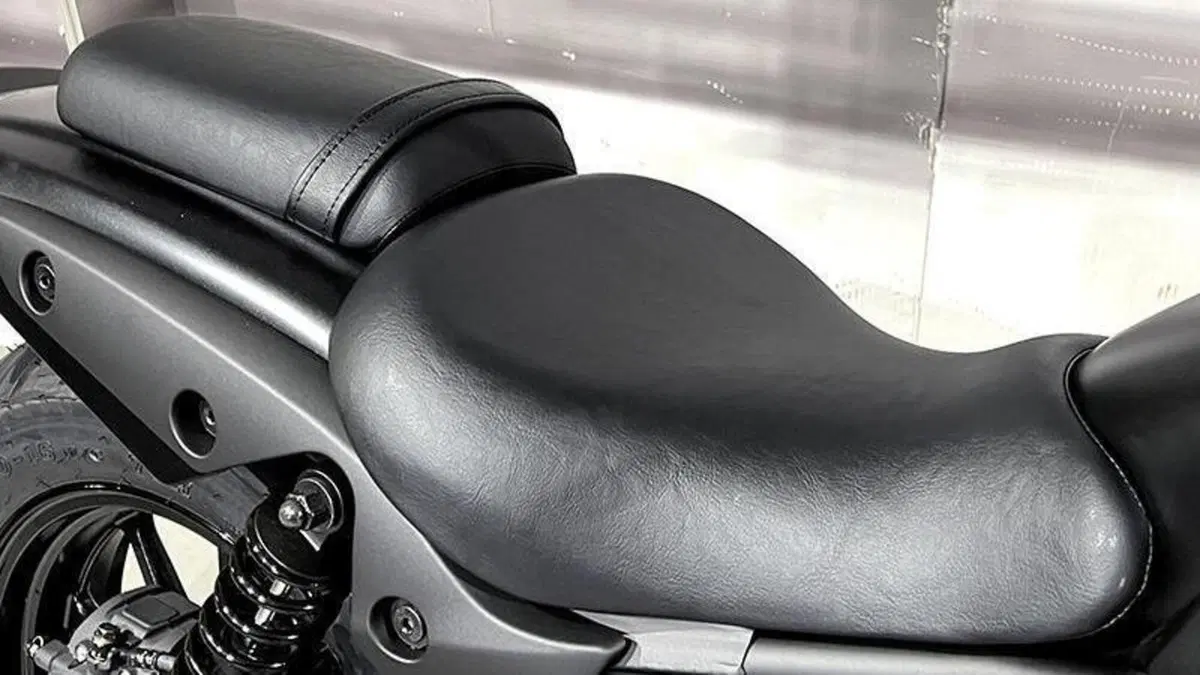Kawasaki Eliminator 500 (2024 - 26)  (4)