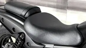 Kawasaki Eliminator 500 (2024 - 26)  (4)