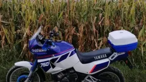 Yamaha   (4)