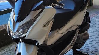 Honda Forza 300 (2019 - 20) usata