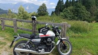 Moto Guzzi V7 Stone Special Edition (2022 - 25) usata
