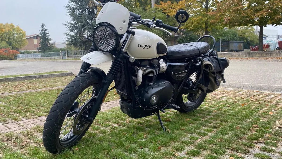 Triumph Street Scrambler 900 (2019 - 20)  (2)