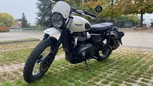 Triumph Street Scrambler 900 (2019 - 20)  (2)