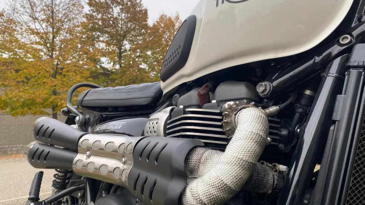 Triumph Street Scrambler 900 (2019 - 20)  (5)