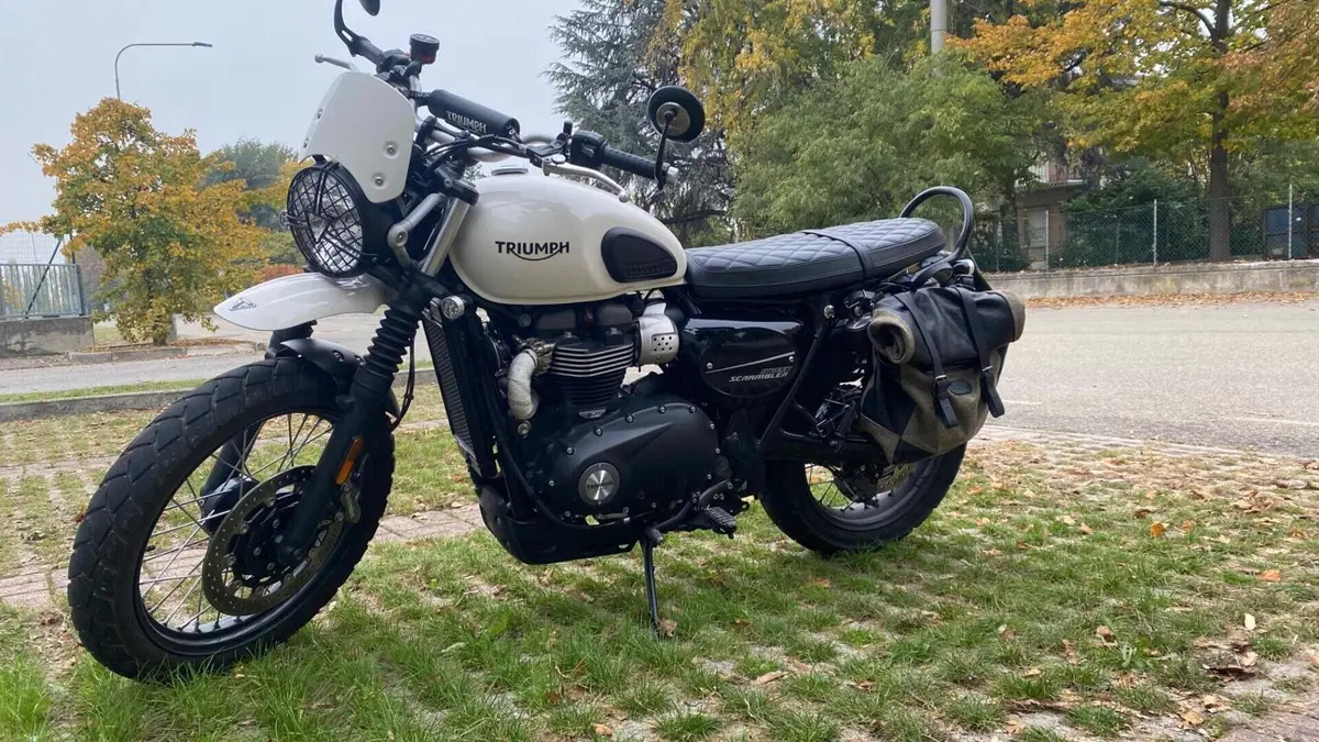 Triumph Street Scrambler 900 (2019 - 20)  (9)