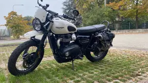 Triumph Street Scrambler 900 (2019 - 20)  (9)
