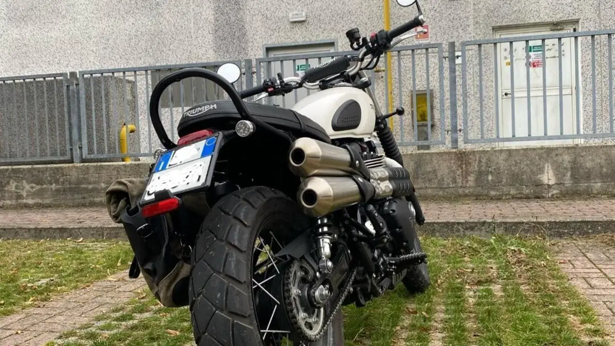 Triumph Street Scrambler 900 (2019 - 20)  (10)