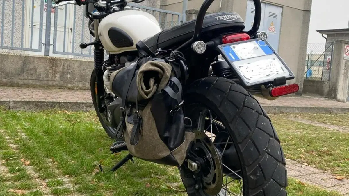 Triumph Street Scrambler 900 (2019 - 20)  (12)