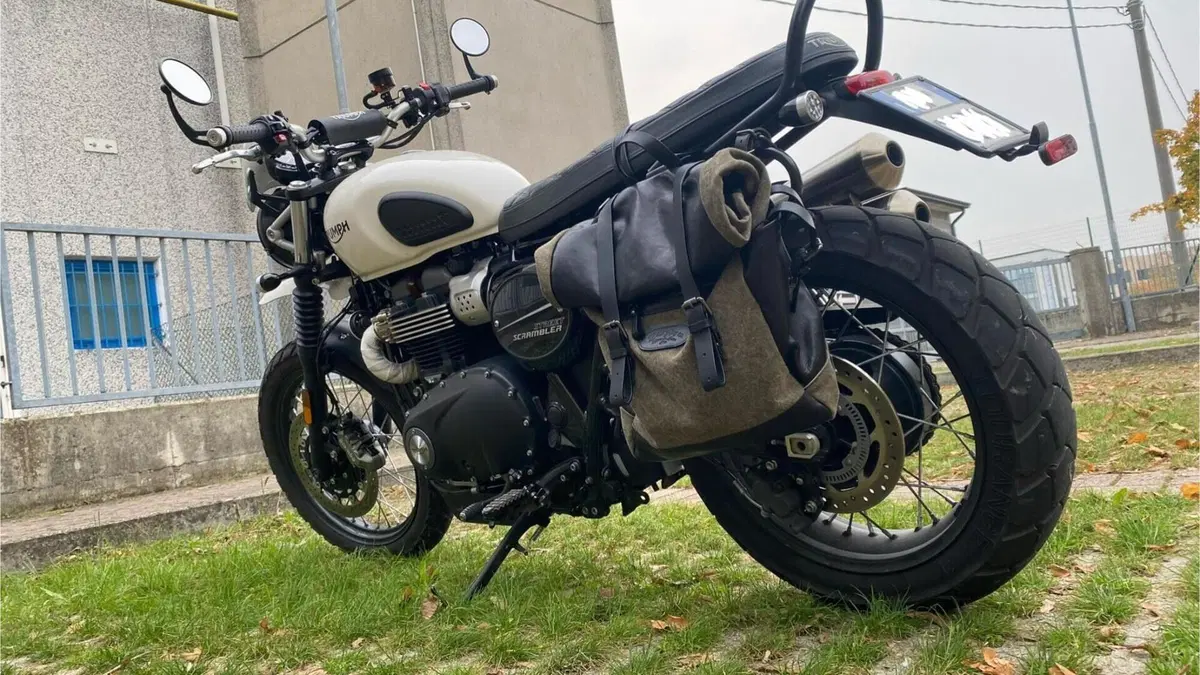 Triumph Street Scrambler 900 (2019 - 20)  (6)