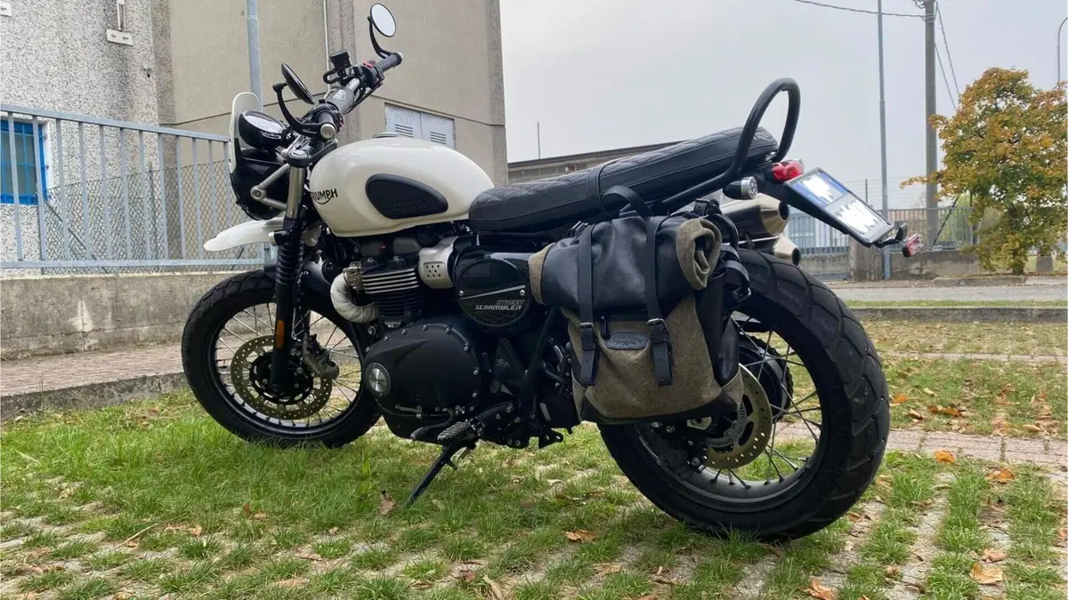 Triumph Street Scrambler 900 (2019 - 20)  (13)