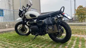 Triumph Street Scrambler 900 (2019 - 20)  (13)