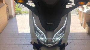 Honda Forza 300 ABS (2018 - 20) 
