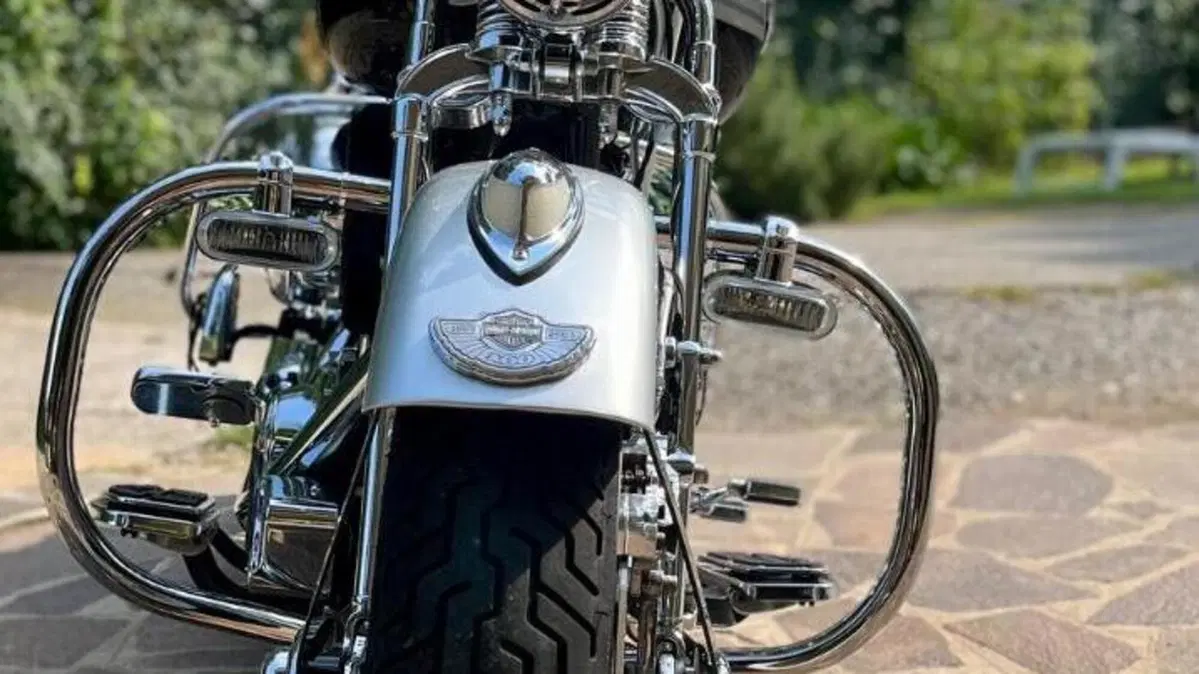 Harley-Davidson 1450 Heritage Springer (2000 - 03) - FLSTS  (2)