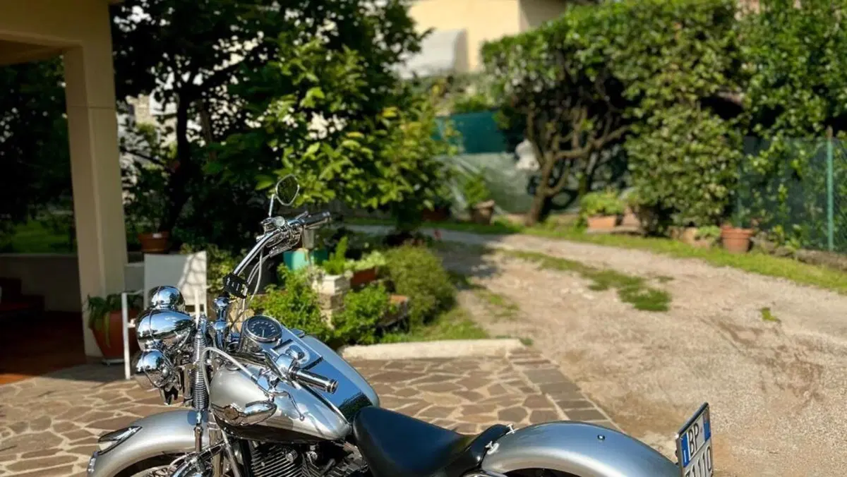 Harley-Davidson 1450 Heritage Springer (2000 - 03) - FLSTS  (10)