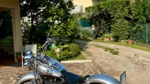 Harley-Davidson 1450 Heritage Springer (2000 - 03) - FLSTS  (10)