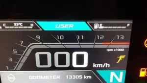 Aprilia Tuono V4 Factory (2021 - 24)  (7)