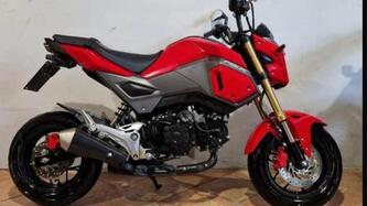 Honda MSX 125 (2016 - 17) usata