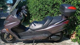 Honda Forza 250 EX (2005 - 07) usata