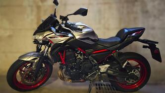 Kawasaki Z 650 (2021 - 24)