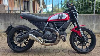Ducati Scrambler 800 Icon (2015 - 16)