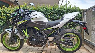Kawasaki Z 650 (2021 - 24)