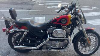 Harley-Davidson 883 Standard (2001 - 05) - XL 883 usata