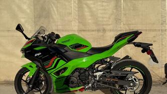 Kawasaki Ninja 500 SE (2024 - 25) usata