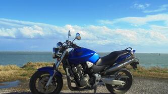 Honda Hornet 900 usata