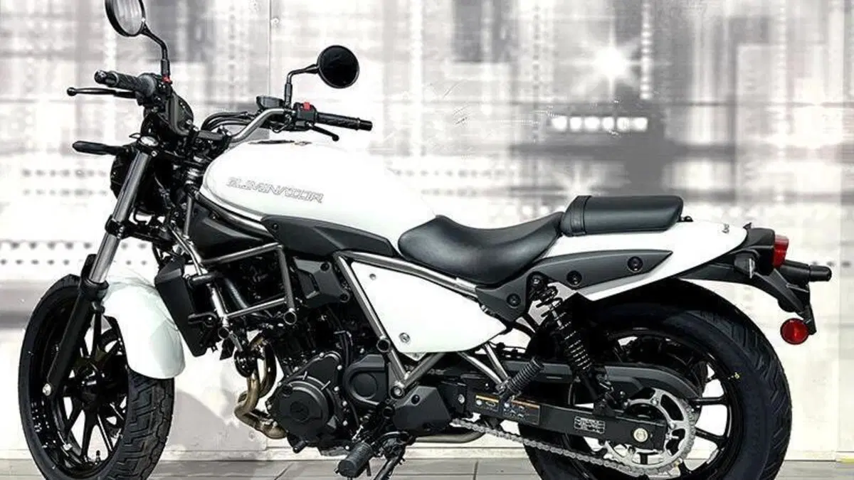 Kawasaki Eliminator 500 (2024 - 26)  (2)