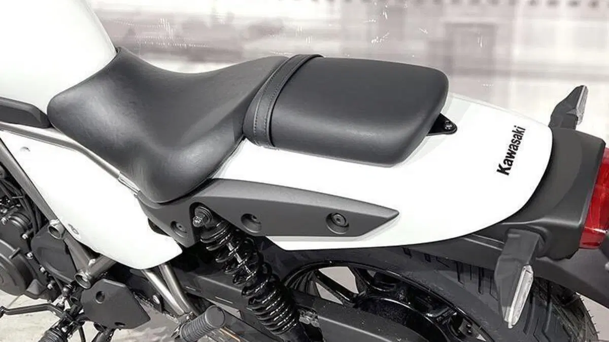 Kawasaki Eliminator 500 (2024 - 26)  (4)