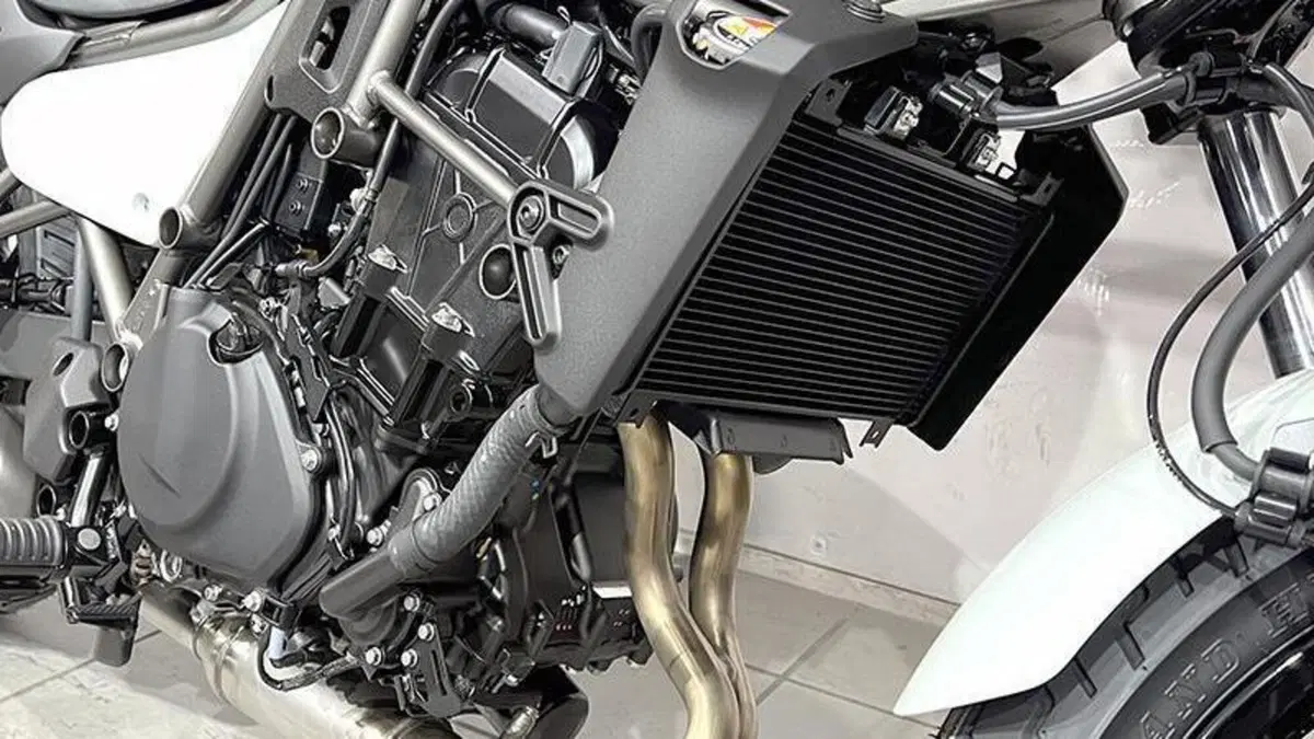 Kawasaki Eliminator 500 (2024 - 26)  (5)