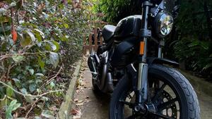 Ducati Scrambler 800 Icon (2021 - 22) 