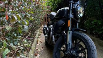 Ducati Scrambler 800 Icon (2021 - 22) usata