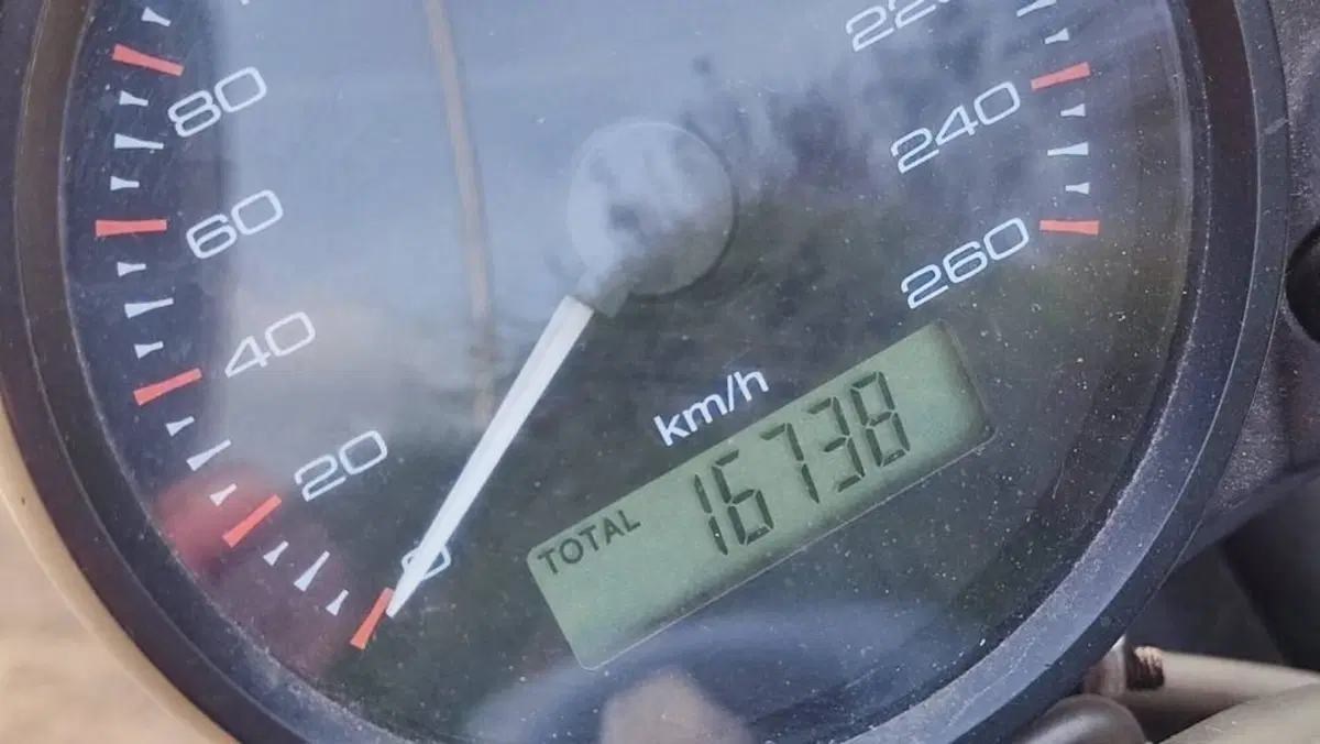 Ducati Monster 620 I.E. Dark (2002)  (9)