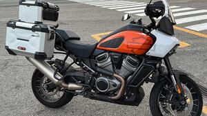 Harley-Davidson Pan America 1250 Special (2020 - 25) 