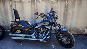 Harley-Davidson 1584 Cross Bones (2008 - 11) - FLSTSB 