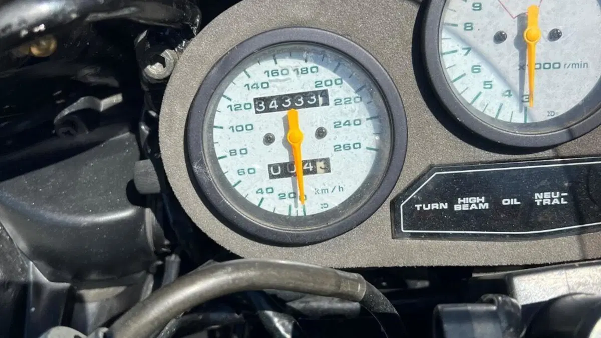 Suzuki   (10)