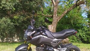 Honda MSX 125 (2016 - 17) 