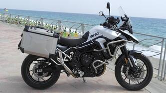 Triumph Tiger 900 GT (2024 - 25) usata