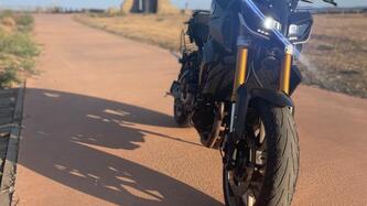 Yamaha MT-09 (2013 - 15) usata
