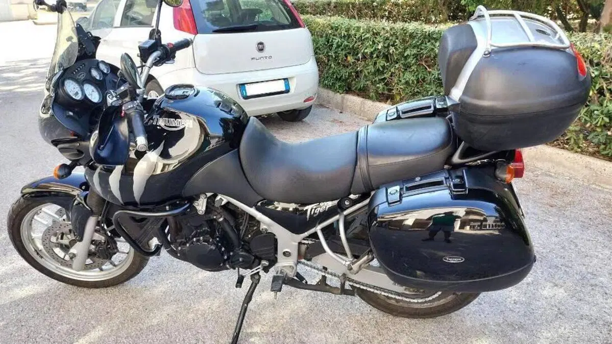 Triumph Tiger 955 (2002 - 06)  (3)