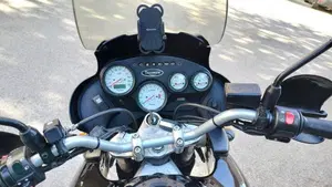 Triumph Tiger 955 (2002 - 06)  (7)